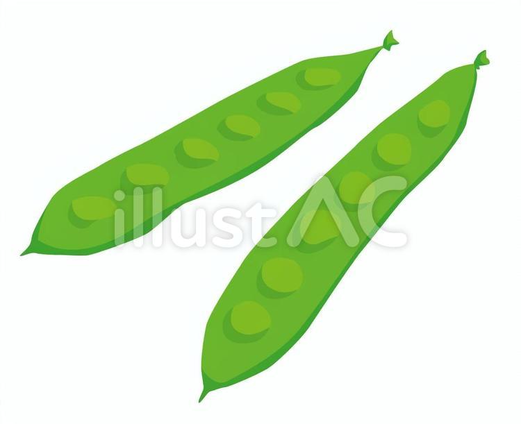 いんげんまめ いんげんまめ,さやいんげん,インゲン豆のイラスト素材