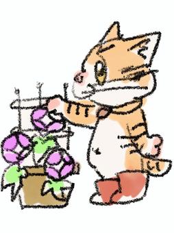 Morning glory and cat, cat, animal, tea tiger, JPG and PNG