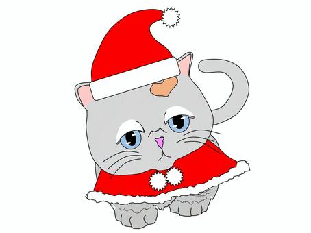 Cute animal series: Cat Santa, healing, cat, healing, tiny, JPG