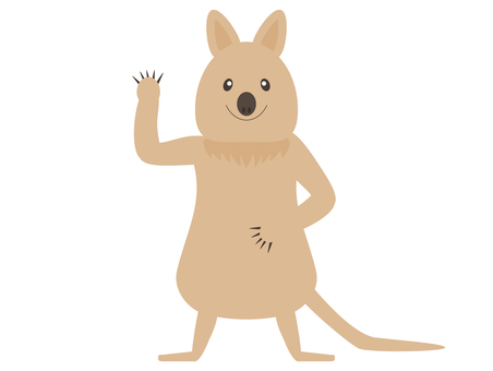 クアッカワラビー クアッカワラビー,ワラビー,笑顔,動物,幸せ,カンガルー,クオッカ,笑う,ニコニコのイラスト素材