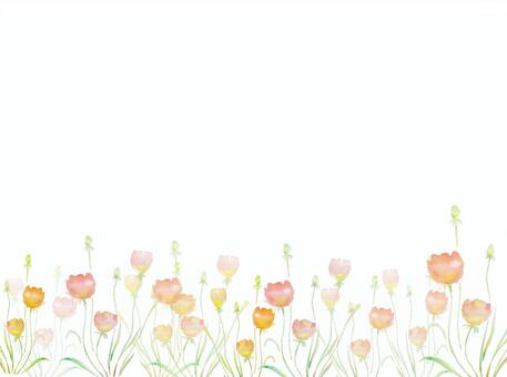 flower, flower, spring, pink, JPG and PNG