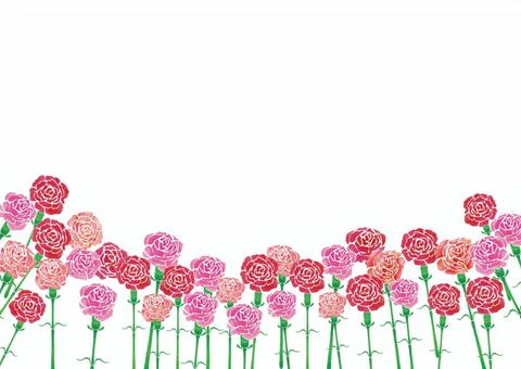 カーネーション05A