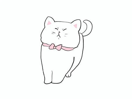 猫急ブレーキ