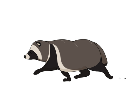 タヌキ（歩く） タヌキ,動物,日本,夜行性,歩くのイラスト素材