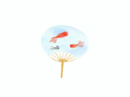 Illustration, fan, goldfish, and gold, 