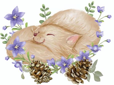 A sleeping fox wrapped in a bellflower and a tail, bellflower, bellflower, पतझड़, JPG and PNG