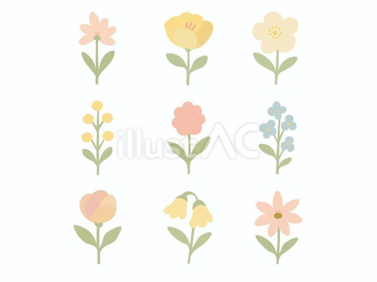 埋め草（花1） 埋め草,植物,花のイラスト素材