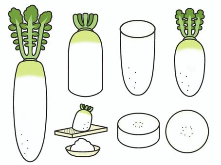 大根 色あり 大根 色あり 大根,おろし大根,デフォルメ,シンプル,緑のイラスト素材