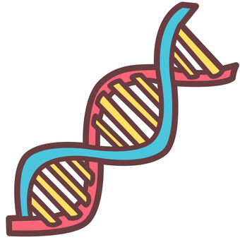 DNAのかわいいデフォルメイラスト dna,遺伝子,デオキシリボ核酸,医学,二重らせん,ヌクレオチド,アデニン,rna,mrna,trnaのイラスト素材