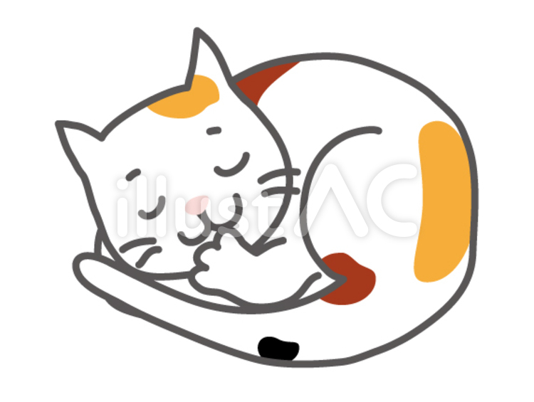 眠る三毛猫 和猫,みけ猫,のらねこのイラスト素材