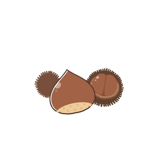 Illustration, chestnut, autumn, simple, JPG and PNG