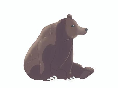 ヒグマ（座る・主線なし）