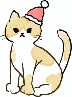 手描きの猫(茶白/座る/クリスマス) 猫,子猫,サンタ帽,サンタ,衣装,手描き,手書き,かわいい,可愛い,ねこのイラスト素材