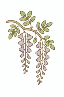 藤の花のイラスト