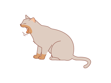 猫のあくび　単品　茶シャム 動物,猫,白猫,眠い,眠気,あくび,飽き,つまらない,退屈,暇のイラスト素材