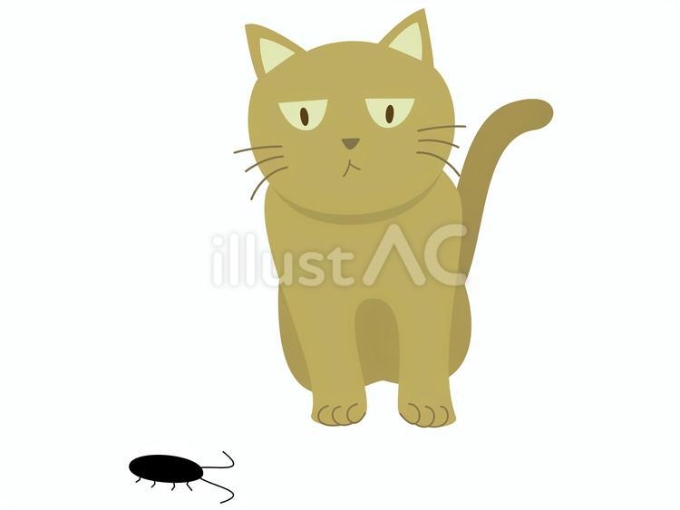 ゴキブリを見つめる猫　茶　 猫,ネコ,ねこのイラスト素材