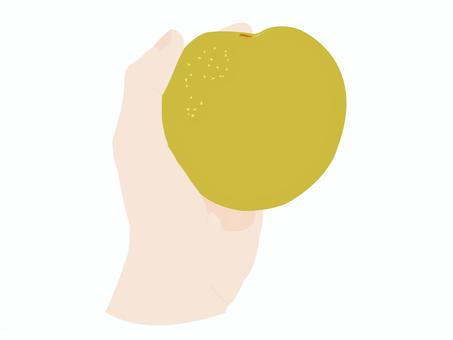 Hand holding a pear, pear, fruit, hand, JPG and PNG