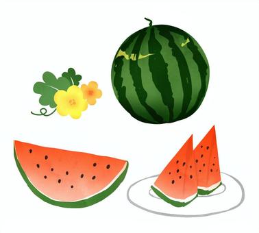 Illustration, watermelon, vegetables, hand drawn, 