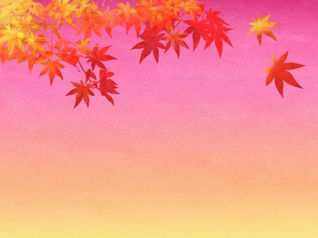 夕暮れと紅葉の背景 空,大空,夜空,宇宙,銀河,天文,天体,雲,光,太陽のイラスト素材