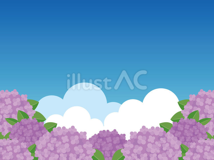 紫の紫陽花のフレーム（横） 紫陽花,花,植物のイラスト素材
