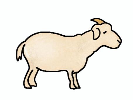 Illustration, goat, animal, handwriting, 