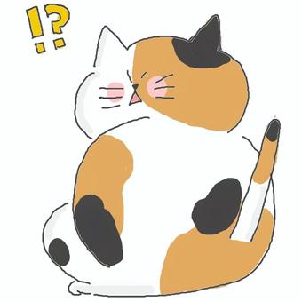 びっくりする三毛猫ちゃん 三毛猫,かわいい,！？,びっくり,衝撃,驚く,振り返る,警戒,後ろ姿,ねこのイラスト素材
