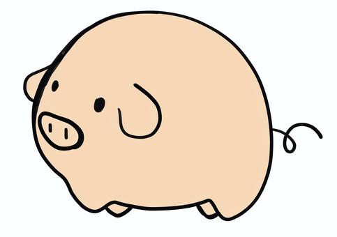 pig, lid, animal, creatures, JPG