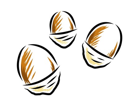 どんぐり どんぐり,ブナ科,堅果,手書き,シンプル,挿絵,ラフ画,イラスト,商用フリー,フリー素材のイラスト素材
