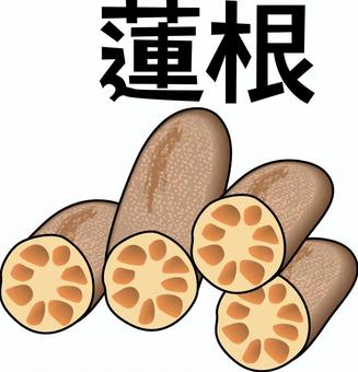 蓮根　