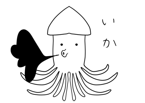 いか いか,海,生き物,生物,白のイラスト素材