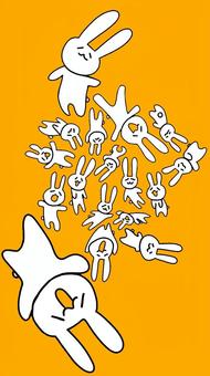 いろんなうさぎたち