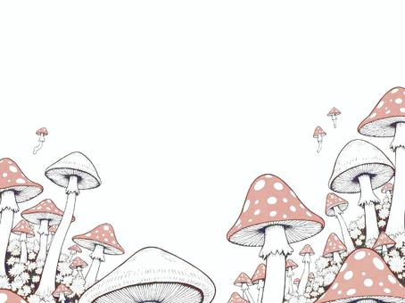 キノコの壁紙〜淡色〜 きのこ,キノコ,茸,植物,伸びる,生える,群生,たくさん,複数,自然のイラスト素材