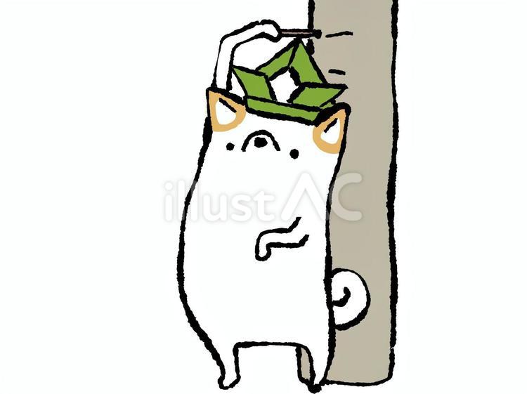 背比べ犬(白) 柴犬,日本犬,白柴のイラスト素材