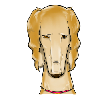 Salukee Hound Sorry, , JPG and PNG