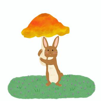 Mushroom and Forest Rabbit, JPG and PNG Mushroom and Forest Rabbit, rabbit, brown, mushroom, JPG and PNG