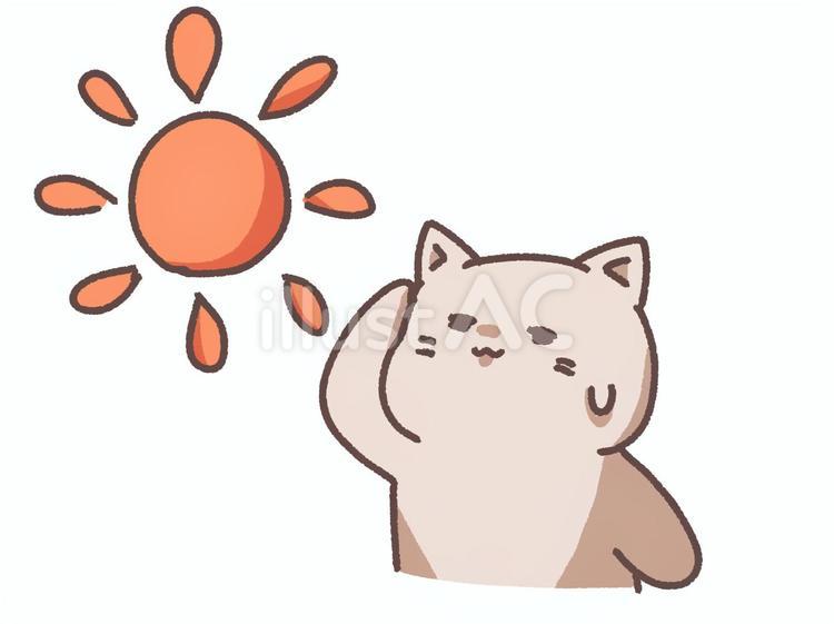 太陽とねこちゃん 太陽,猫,動物のイラスト素材