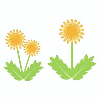 Illustration, dandelion, flower, plant, JPG, PNG and AI