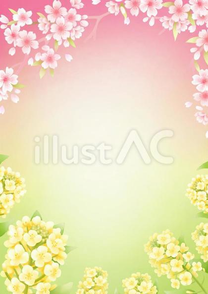 菜の花と桜の春
