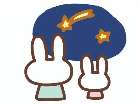 Rabbit parent and child (looking at the night sky), , JPG and PNG