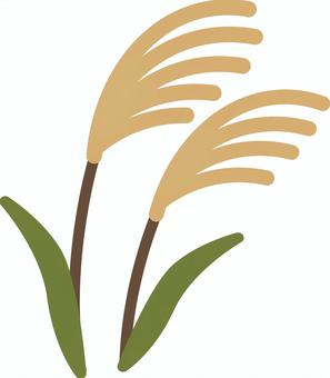 尾花（ススキ） ススキ,尾花,秋,七草,植物のイラスト素材