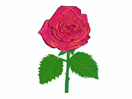 ピンクの薔薇 ピンクの薔薇 薔薇,ピンク色,一輪,花,茎,葉のイラスト素材