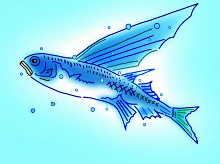 Illustration, JPG Illustration, flying fish, sea fish, fly, JPG