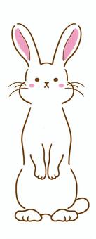 立つ白うさぎ