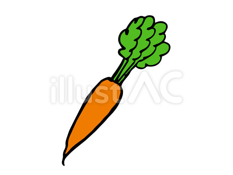 手描きのにんじん にんじん,食べ物,野菜のイラスト素材