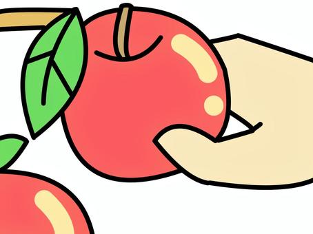 果物狩り　りんご 果物狩り,りんご狩り,食べ物,りんご,手,シンプル,おいしい,かわいい,生活のイラスト素材