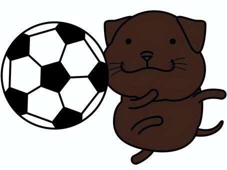 チョコラブさん サッカー サッカー,チョコラブ,ラブラドール,ラブラドールレトリバー,ボール,スポーツ,犬,動物,キャラクター,クラブのイラスト素材