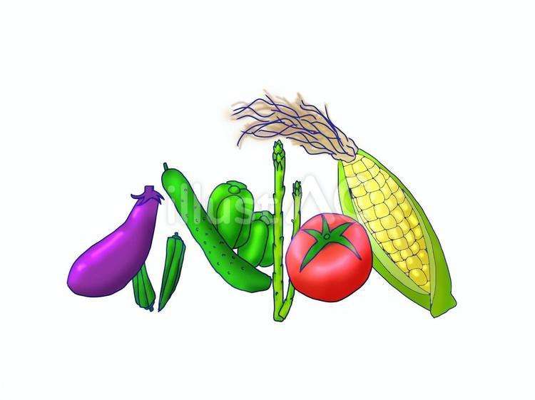 夏野菜 夏野菜,夏,トマトのイラスト素材