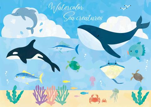 Watercolor style sea creature set, , JPG, PNG and AI