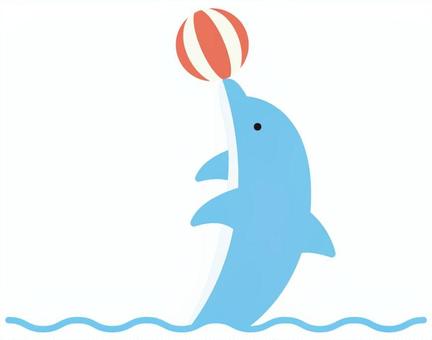 イルカショー　ボール イルカ,ボール,イルカショー,演技,披露,水族館,水,生き物,哺乳類,かわいいのイラスト素材