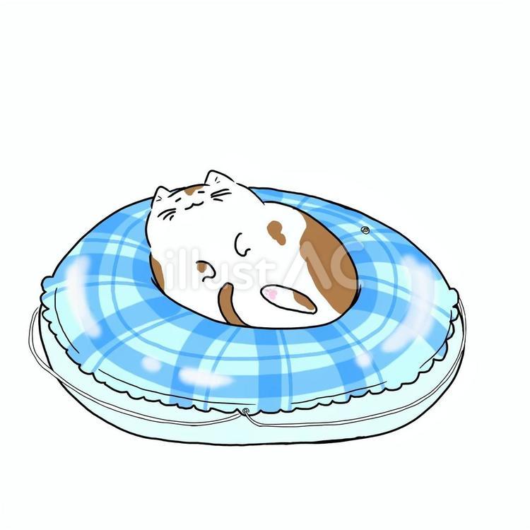 猫と浮き輪 猫,動物,うきわのイラスト素材